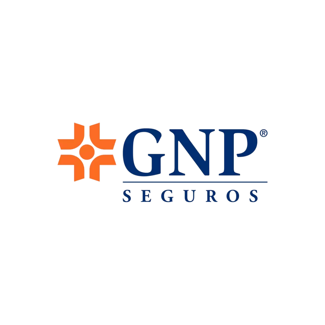 GNP